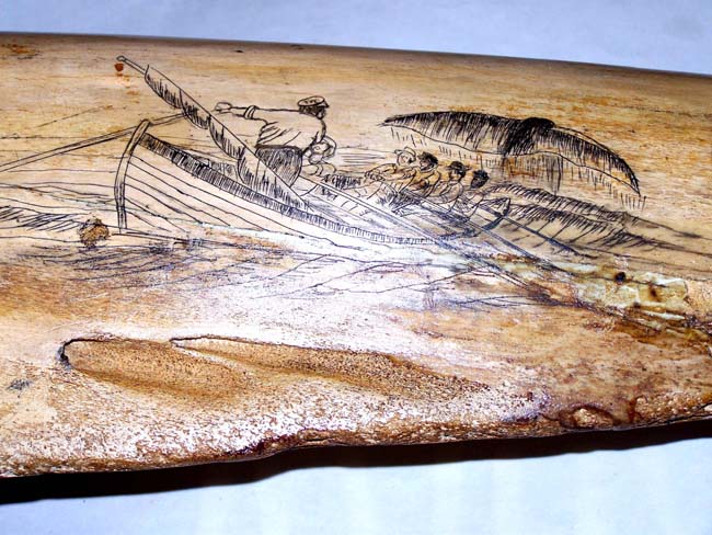 A Fine and Rare Whale's Jawbone Beautifully Scrimshawed and dated 1909. — image 3